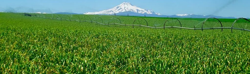 AgriculturalandIrrigation