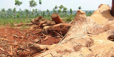 LandRecords&Information