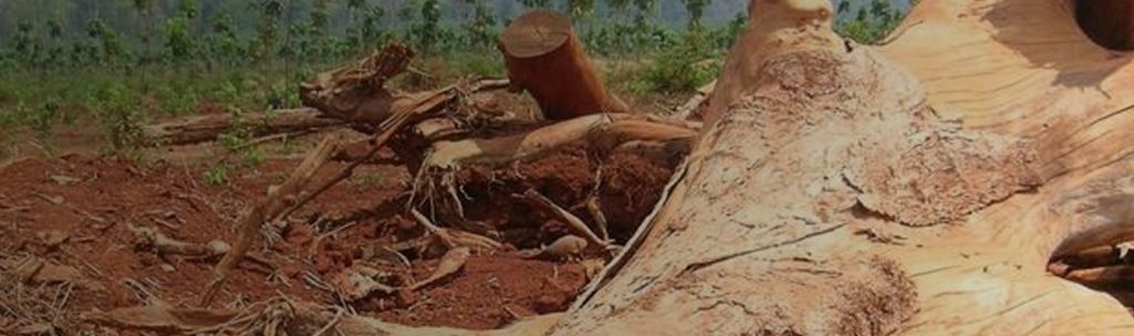 LandRecords&Information