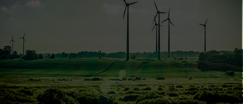 environment resources final